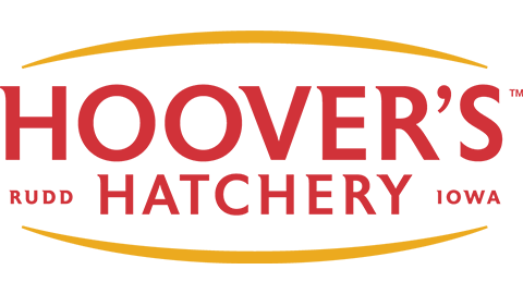 Hoover's Hatchery