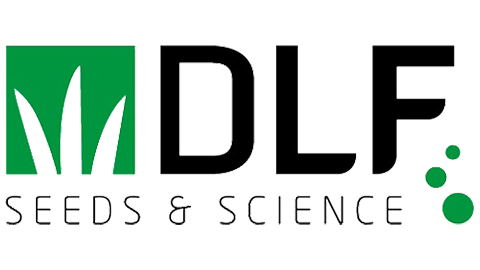 DLF