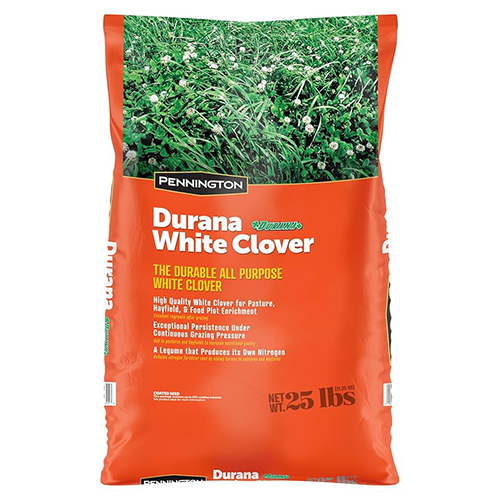 Durana Clover Forage - 25 lb