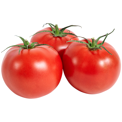 Tomato, Homestead 24 - 0.25 oz   