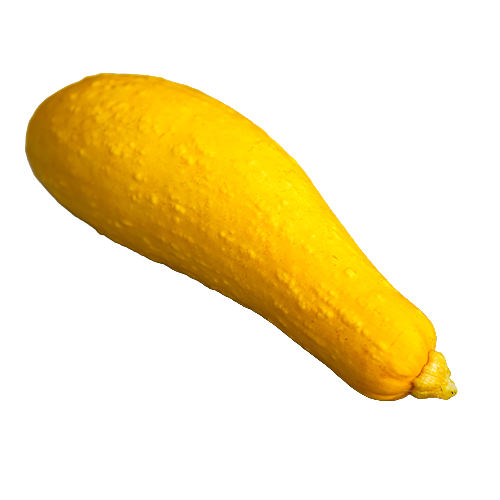 Squash, Prolific Straightneck - 1 lb  