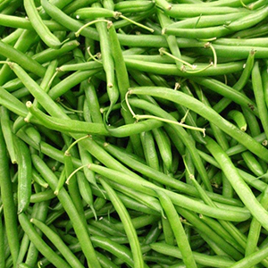 Bean, Volunteer White Half Runner, Pole - 50 lb  