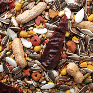 Grains-Plus Parrot Blend - 50 lb