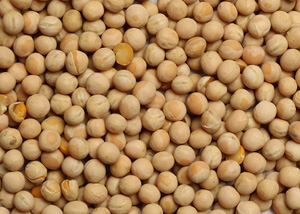 Recleaned Grains Canadian Peas - 50 lb